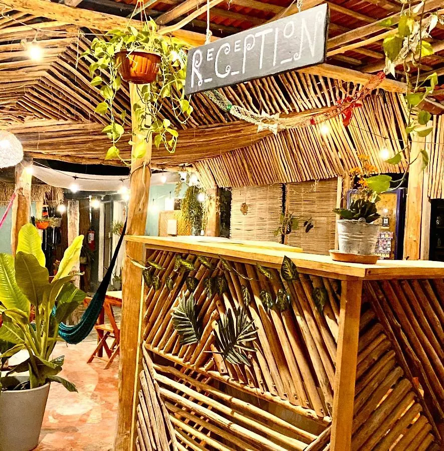 Barco Verde Hostel Isla Holbox