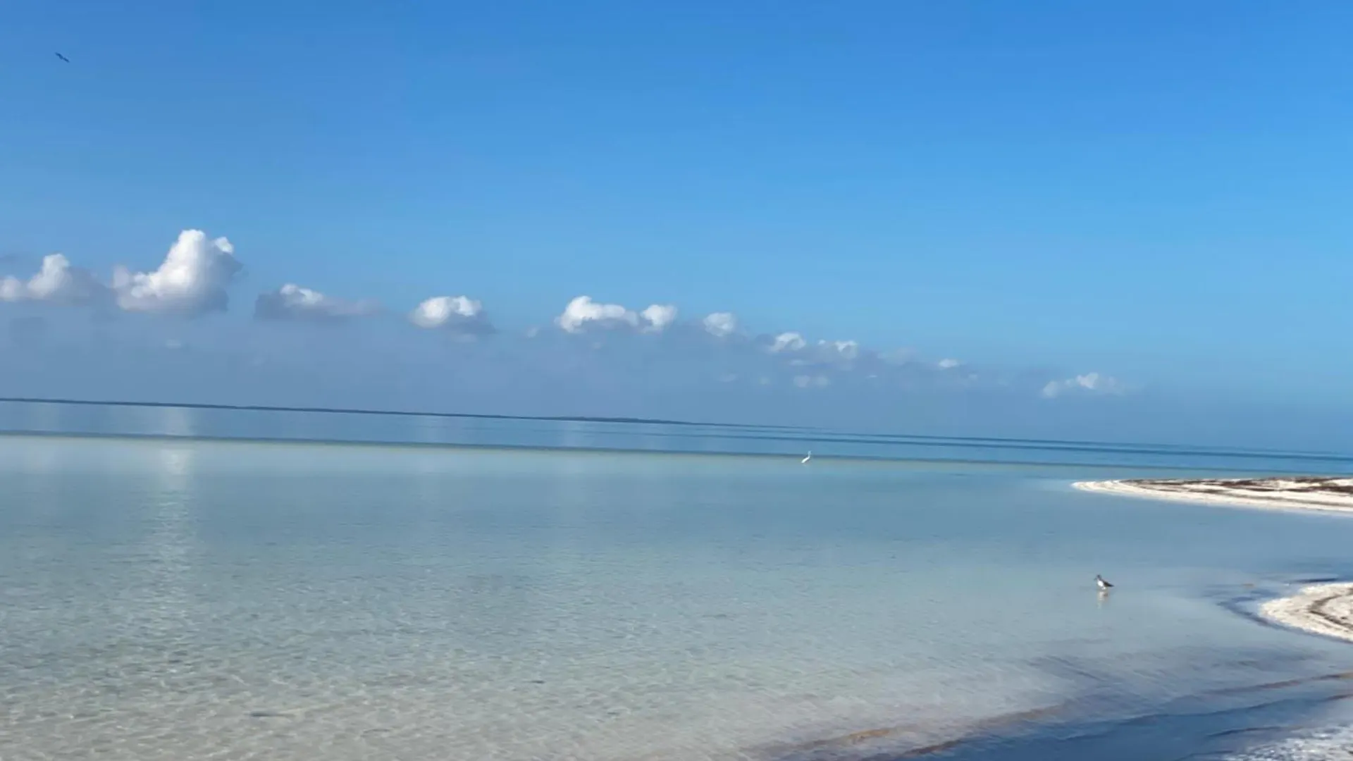 Barco Verde Hostel Isla Holbox